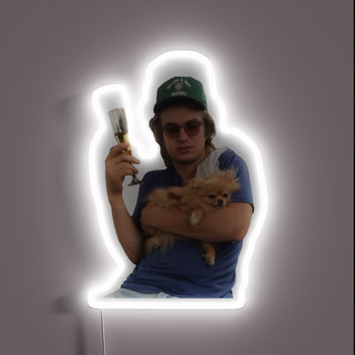 Neon tribute to the Stranger Things heartthrob's iconic spirit animal