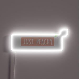 Vibrant peach-colored LED lightbox with programmable RGB illumination effects.