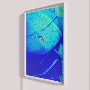 Vibrant Lamborghini inspired neon sign with color changing LED lighting.