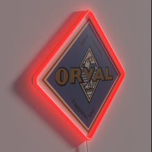 Load image into Gallery viewer, Add modern vintage ambiance with Orval RGB colorful neon light