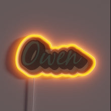 Load image into Gallery viewer, Personalized hometown tribute in vibrant rainbow color LED light.