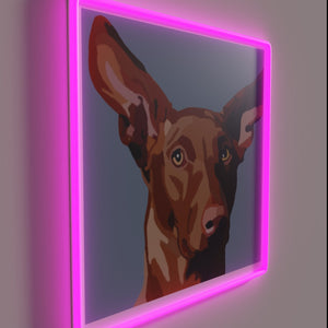 Glowing neon art of majestic pharaoh hound breed in color