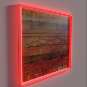 Rustic Country Charm with Color-Changing RGB Neon LED Light Sign