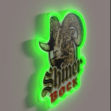 Load image into Gallery viewer, Shine on with this retro beer bar decor neon sign.