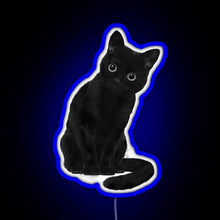 Load image into Gallery viewer, Spooky Cute Cat RGB neon sign blue