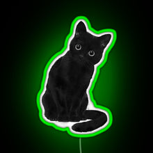 Load image into Gallery viewer, Spooky Cute Cat RGB neon sign green