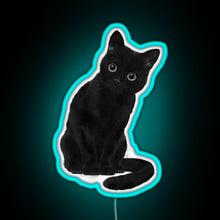 Load image into Gallery viewer, Spooky Cute Cat RGB neon sign lightblue 