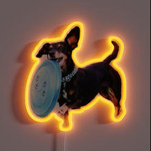 Load image into Gallery viewer, Neon Sign Blends Colorful RGB Lights with Fun Frisbee Canine Theme