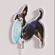 Load image into Gallery viewer, RGB LED neon dog Ultimate Frisbee sport team decorative wall art