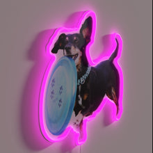 Load image into Gallery viewer, Neon lit love for ultimate frisbee dog parents living life