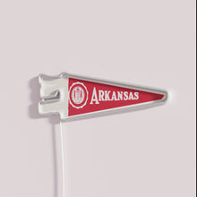 Load image into Gallery viewer, University of Arkansas Razorbacks official bright LED neon wall decoration light