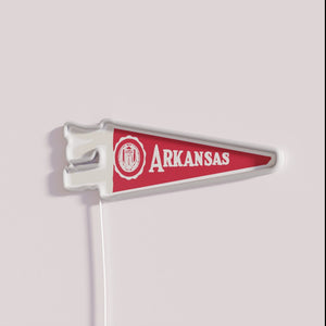 University of Arkansas Razorbacks official bright LED neon wall decoration light