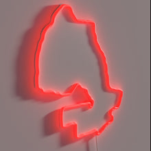 Load image into Gallery viewer, Vintage Canada Map Neon Sign with Humorous Beer Reference