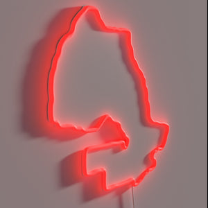 Vintage Canada Map Neon Sign with Humorous Beer Reference