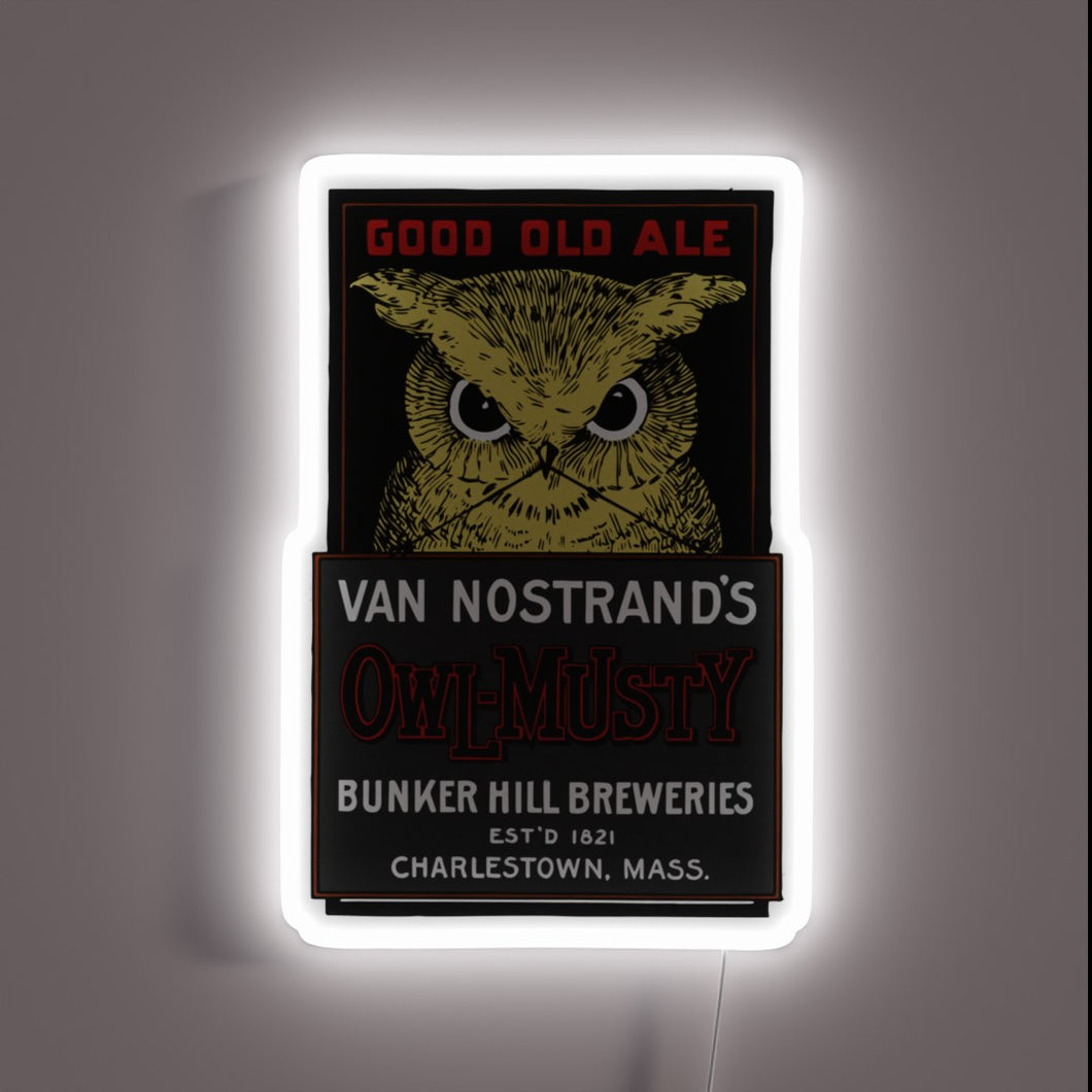 Eye-catching vintage owl neon sign for brewery or game room