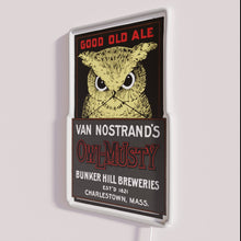 Load image into Gallery viewer, Retro-inspired owl neon bar decor for craft brewery ambiance lighting