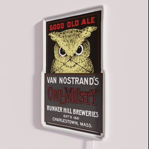 Retro-inspired owl neon bar decor for craft brewery ambiance lighting
