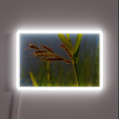 Vibrant Neon Sign Featuring Iridescent Wild Grasses in Bold Colors