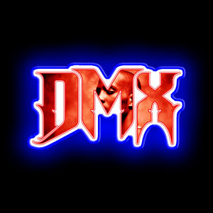 DMX neon lgiht