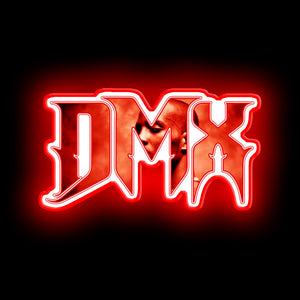 DMX neon light