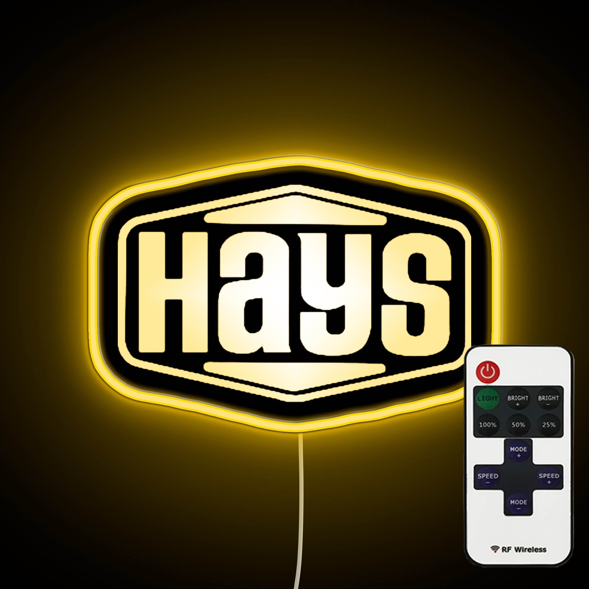 Hays Logo neonneon sign