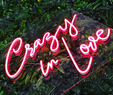 Crazy in Love red neon sign