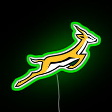 Load image into Gallery viewer, Springbok RGB neon sign green