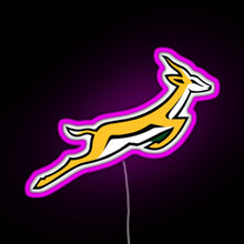 Load image into Gallery viewer, Springbok RGB neon sign  pink