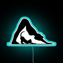 Load image into Gallery viewer, Yoga Cat RGB neon sign lightblue 